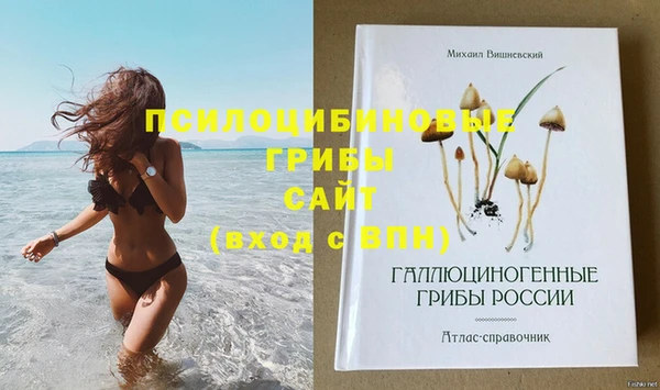 ешки Инсар