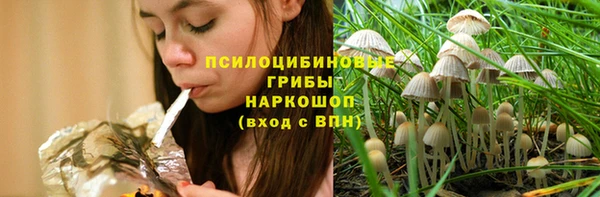 ешки Инсар