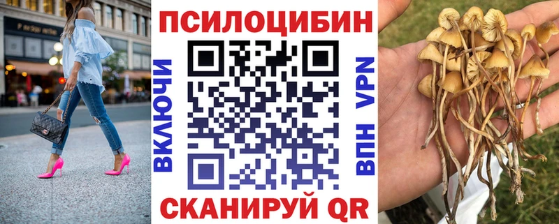 Псилоцибиновые грибы ЛСД Тулун